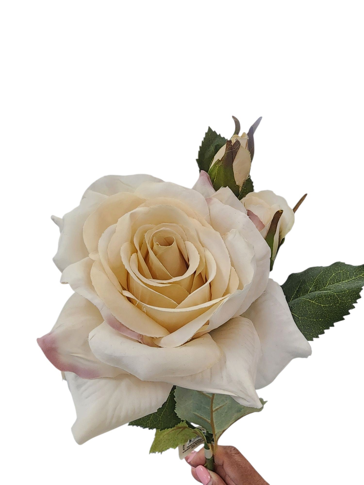 Rose 52cm Creamy Pink