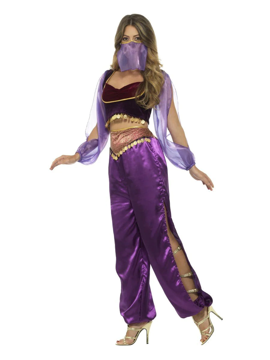 Purple Arabian Princess Womens Costume