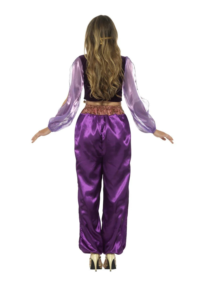 Purple Arabian Princess Womens Costume