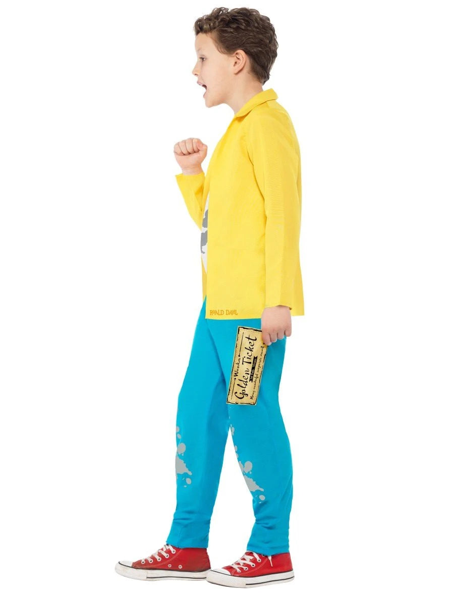 Roald Dahl Charlie Bucket