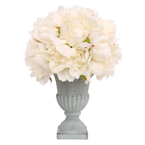 Ivory Peonies In Pot