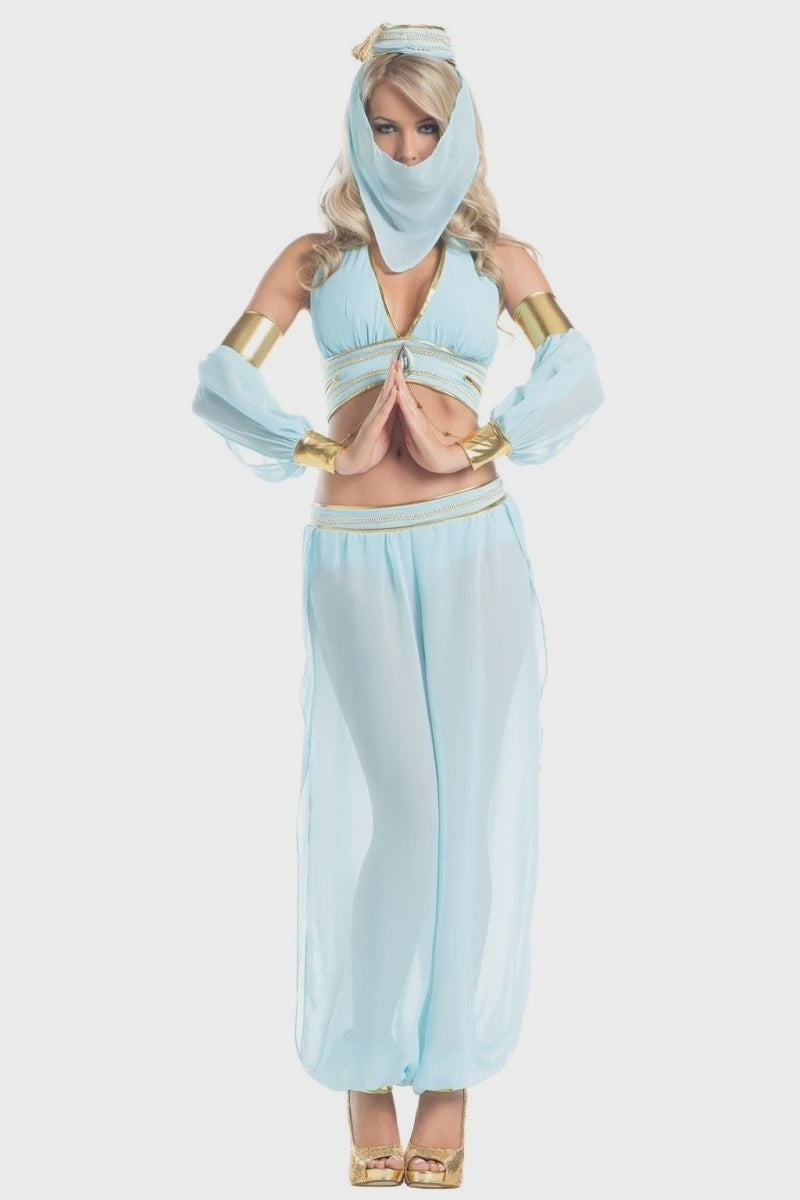 Aladdin's Sexy Genie Costume