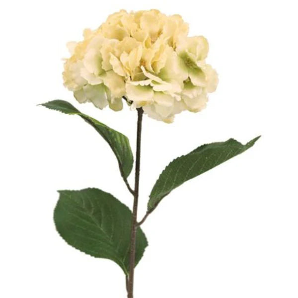 Hydrangea Taupe 72cm