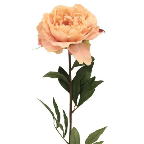 Peony Pink 85cm