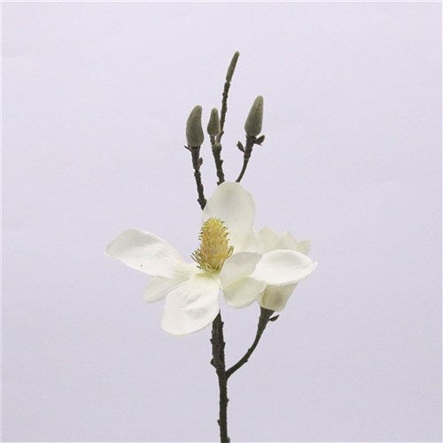 White Magnolia Spray Flower And 5 Buds 43cm