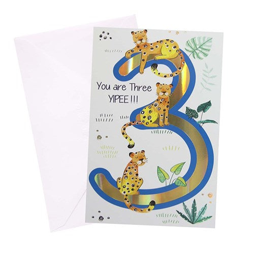 3rd Birthday Greeting Card- Urban Safari