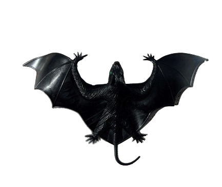 Vampire Bat - Hanging