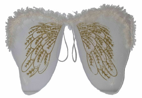Angel Wings with Feathers