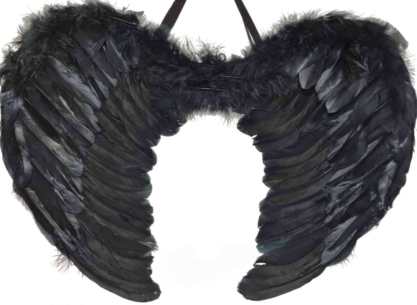 Black Feather Wings 55x40cm