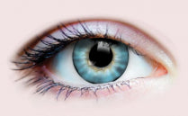 Primal Sunset Ocean- Blue Natural Contact Lenses