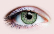 Primal Aurora Jade - Green Coloured Natural Contact Lenses