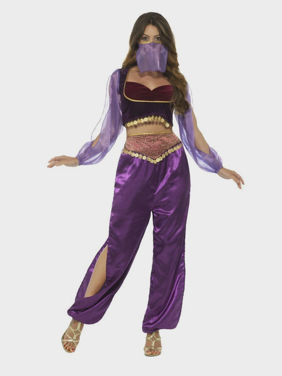 Purple Arabian Princess Womens Costume