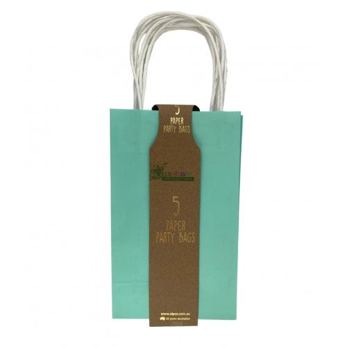 Paper Pastel Mint Party Bags (Set of 5)