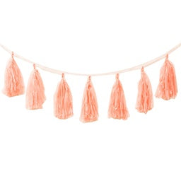 Peach Tassel Garland