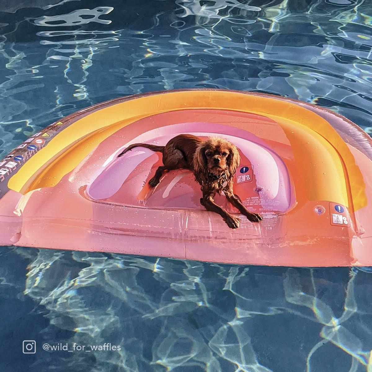 Sunnylife Peachy Pink Float Away Lie On