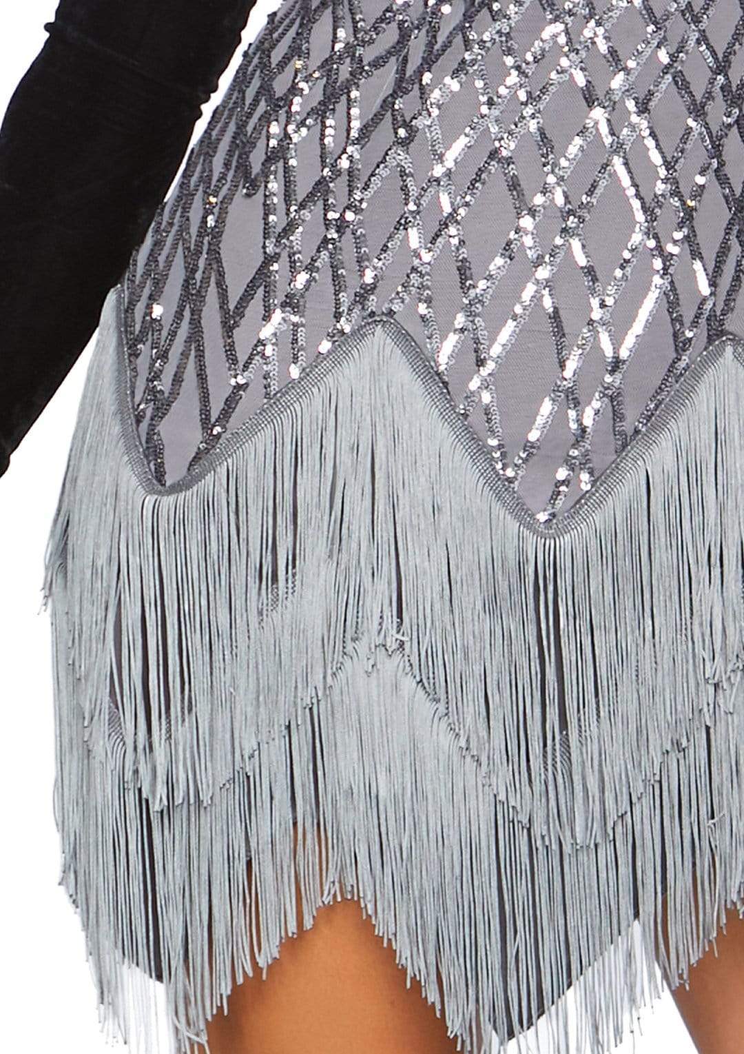 Roaring Roxy Flapper Womens Costume