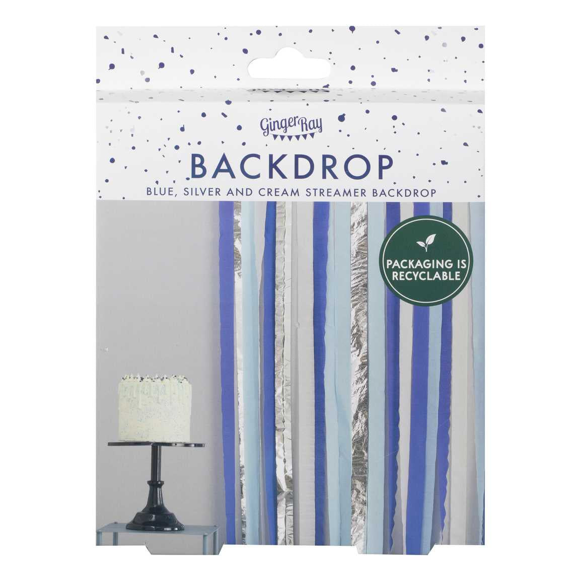 Ginger Ray Blue and Silver Party Streamers Backdrop