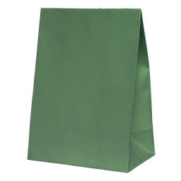 Sage Green Paper Party Bags - 10 Pack
