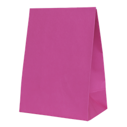 Flamingo Pink Paper Party Bags - 10 Pack