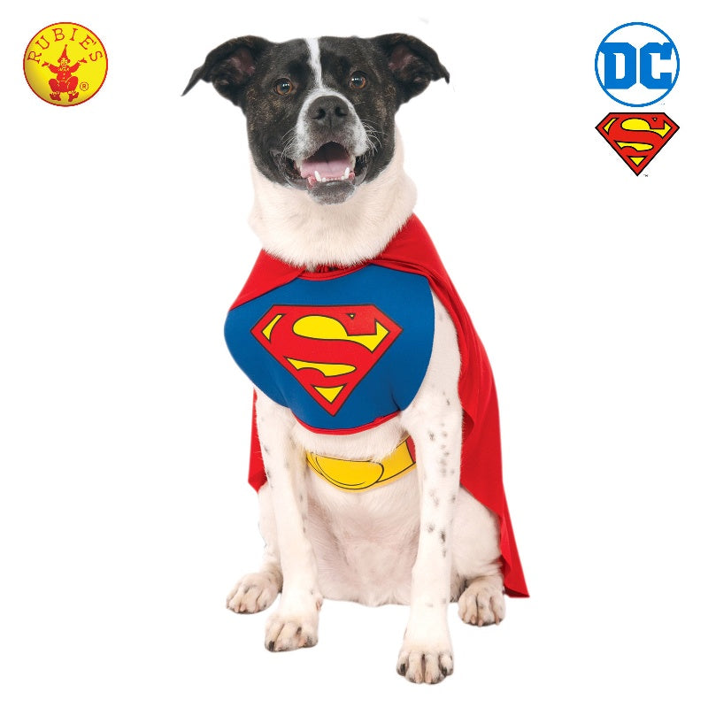 Superman Classic Dog Costume