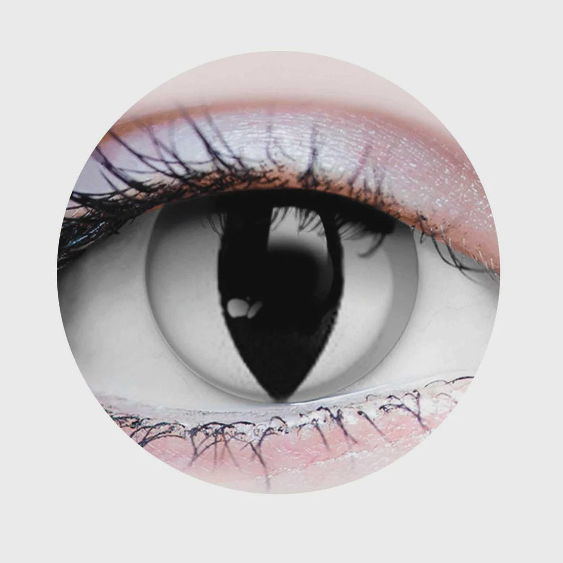Primal Venom -White Coloured Contact Lenses