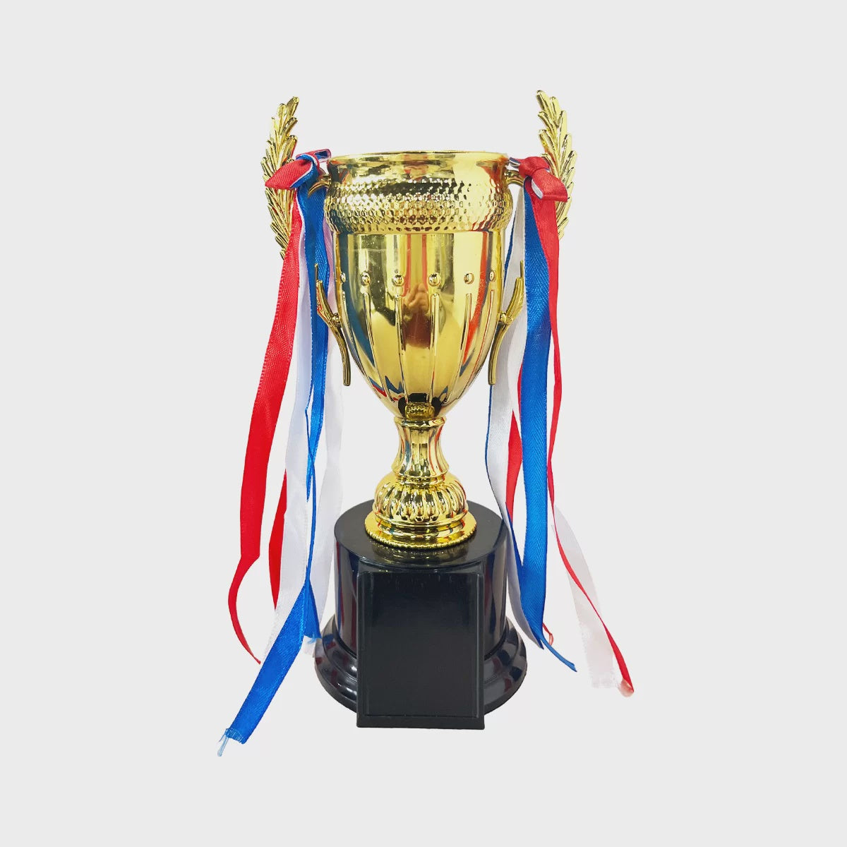 Trophy Cup 22cm