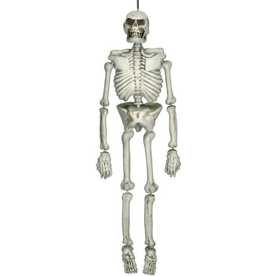 Life Size Hanging Skeleton Decoration