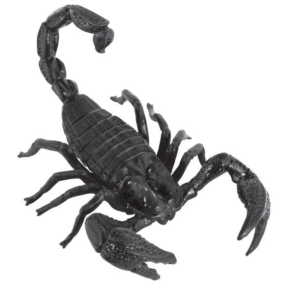 Giant Scorpion Prop 13cm x 20cm