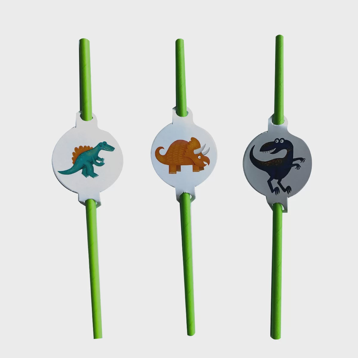 Dino Paper Straws (Pack of 10)