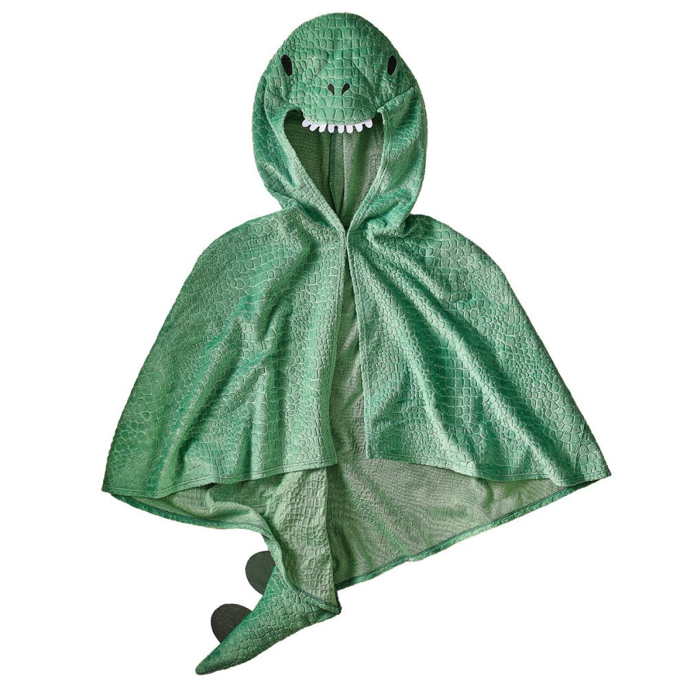 Dinosaur Cape Boys Costume