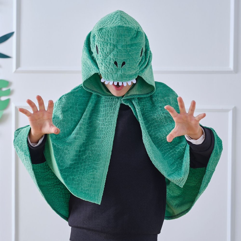 Dinosaur Cape Boys Costume