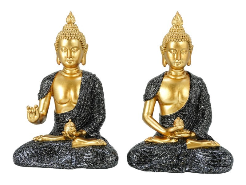 Thai Buddha Meditating with Black Robe