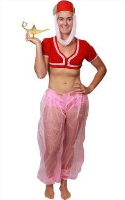 Genie in a Bottle Womens Costume