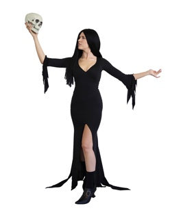 Mortifying Mistress Womens Costume