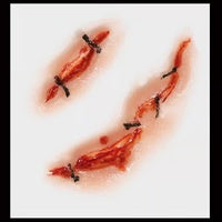 Stitches 3D Hollywood Wound FX Transfer - Small