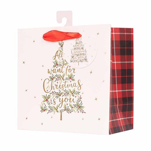 All I Want For Christmas Is You Gift Bag - Medium Size