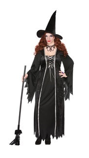 Dark Witch Womens Costume