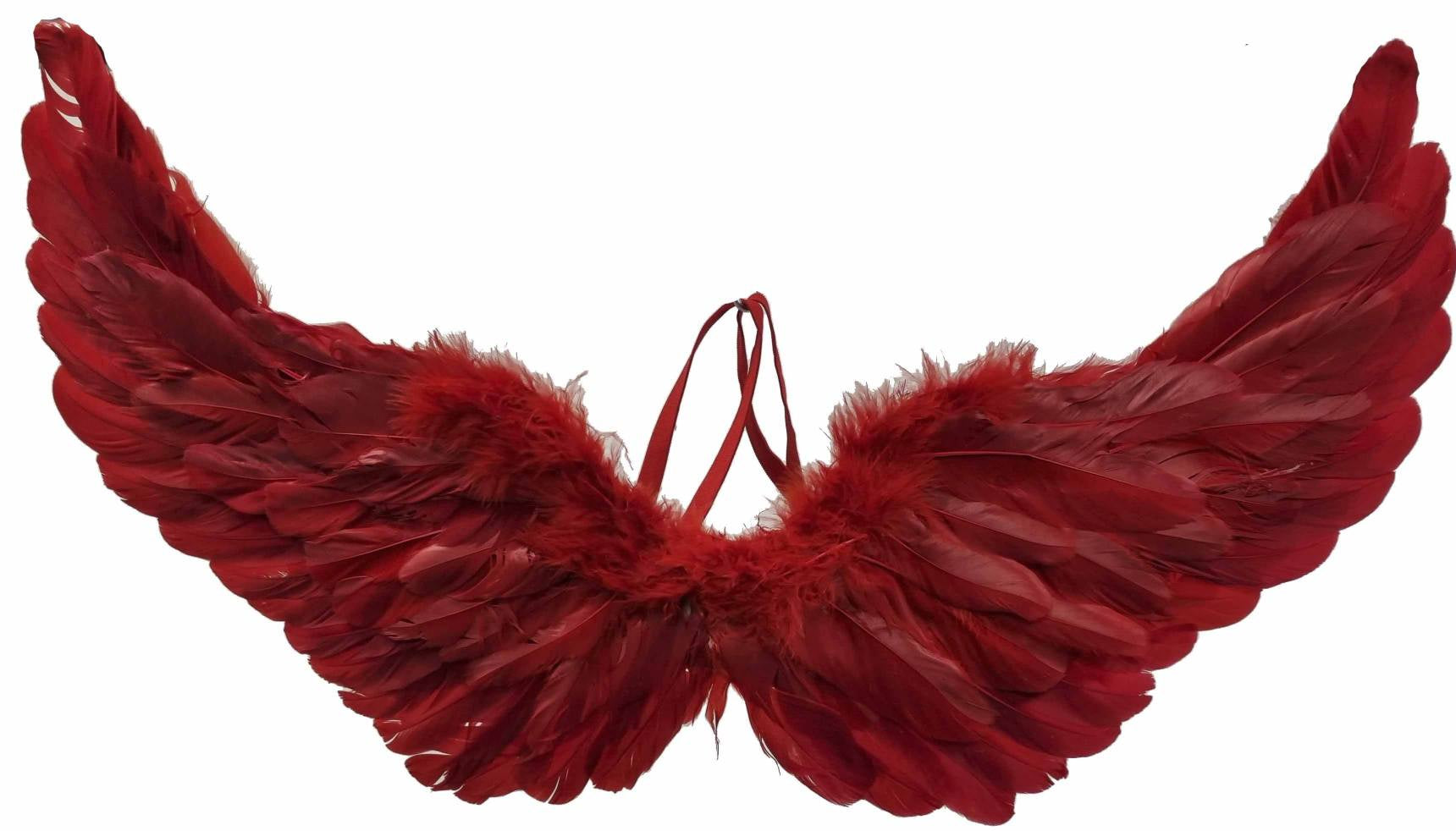 Red Feather Wings 60x35cm