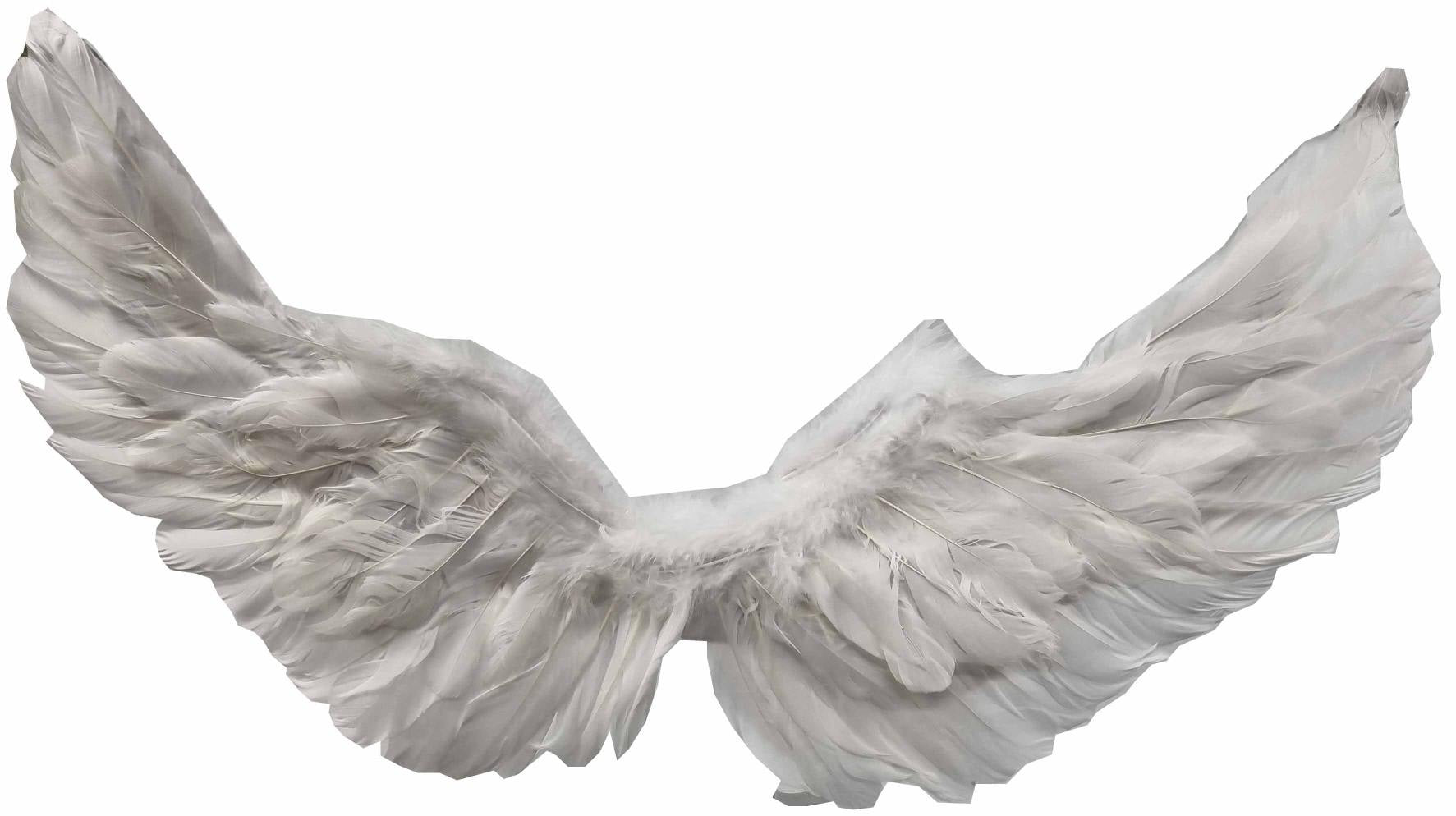 White Feather Wings 60x35cm