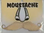 Blonde Moustache