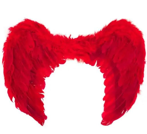 Red Feather Wings 80x60cm