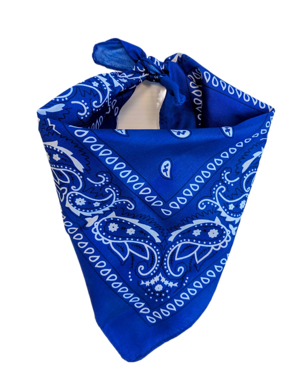 Blue Bandana