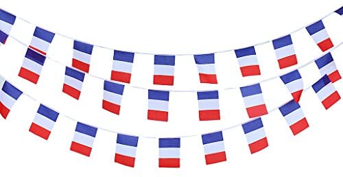 French Flag Bunting