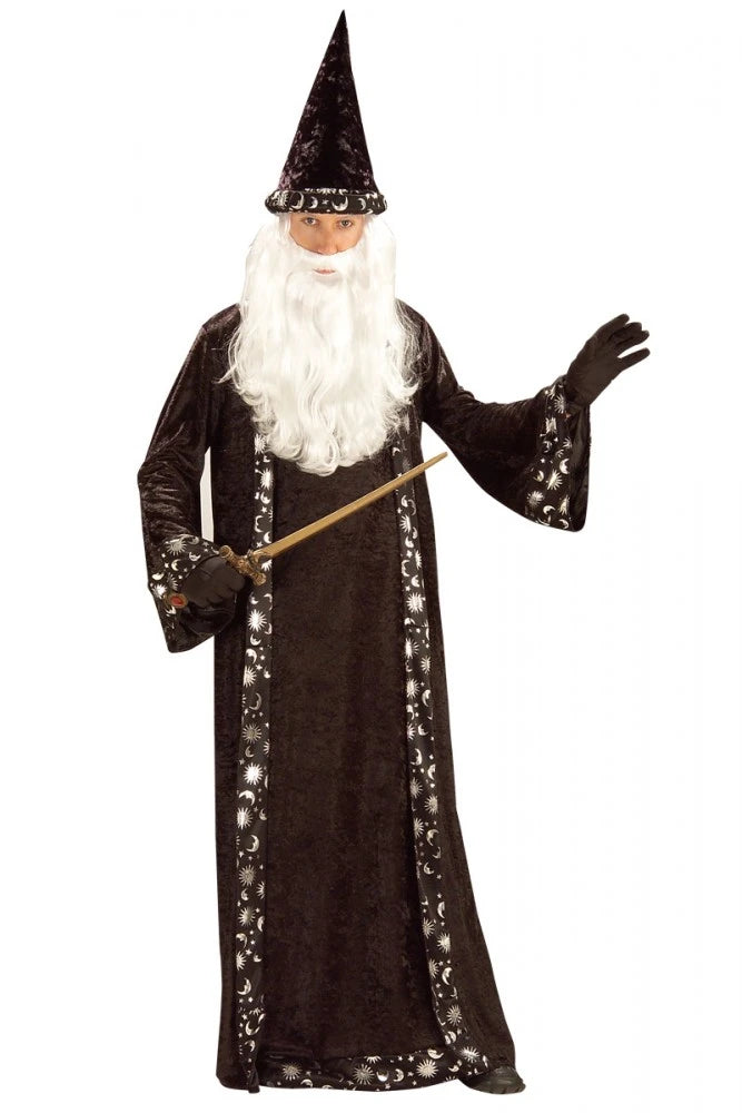 Mr Wizard Merlin Mens Costume