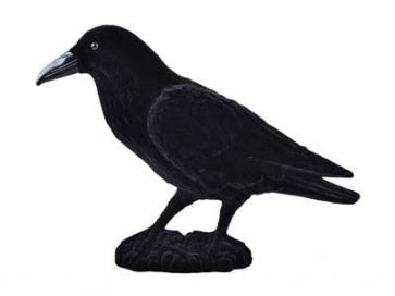 Small Bartram the Raven Prop 18 x 30cm