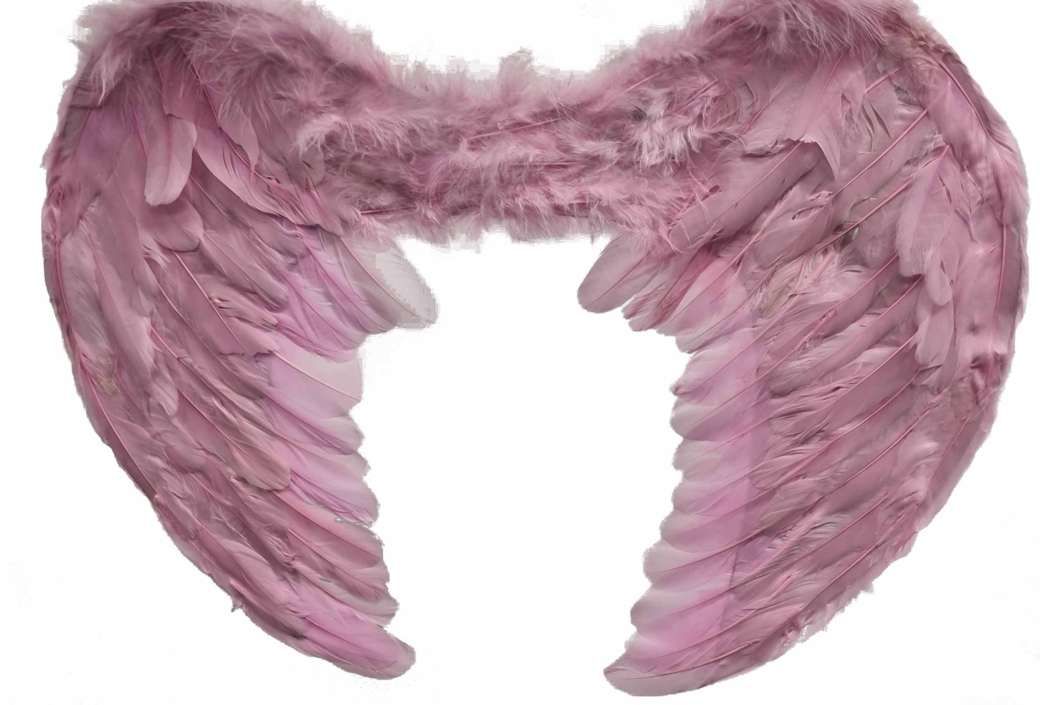 Large Pink Feather Wings 55x40cm