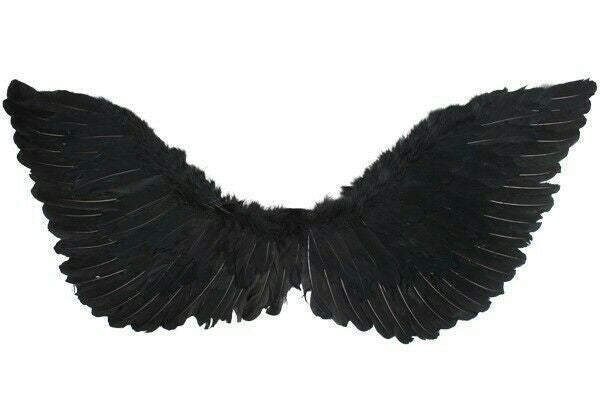 Black Feather Wings Large