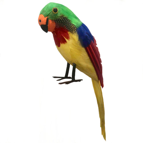 Tropical Feathered Pirate Parrot Prop