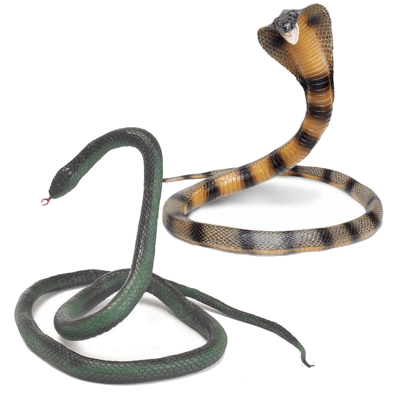 Rubber Snakes & Cobras