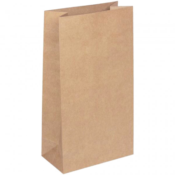 Kraft paper loot bags